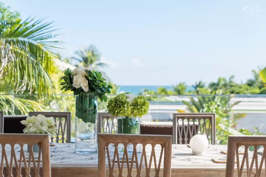 端午假期去哪浪？来三亚“免费住”，体验海南的美食与美景