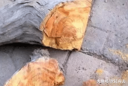 ＂吓死啦！捡漏来的崖柏陈化料，竟开出个笑面鬼娃＂