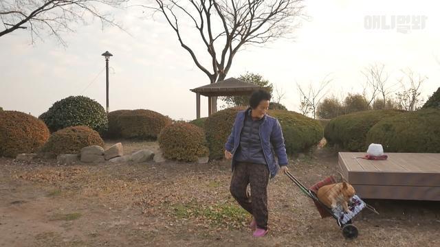 婆婆與殘疾狗狗相依為命，每日悉心照顧仍自責，有錢就能治好它了