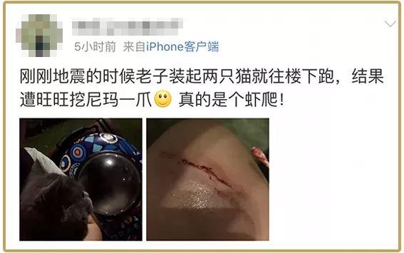 昨晚地震，铲屎官第一反应：抱着猫狗一起跑！不过姿势错了……