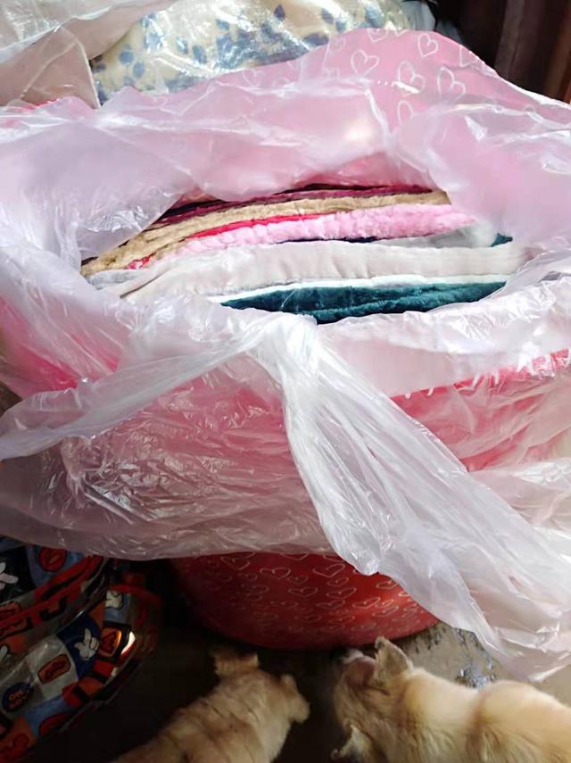 再有大量爱心物资抵达流浪动物救助站，负责人与义工表示十分感谢