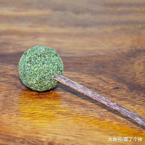 被毛孩子成功馋哭，请问能偷吃它的猫薄荷吗？