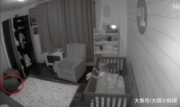 狗狗为了感恩，每天陪伴小宝宝玩耍，最后摄像头拍下了暖心的画面