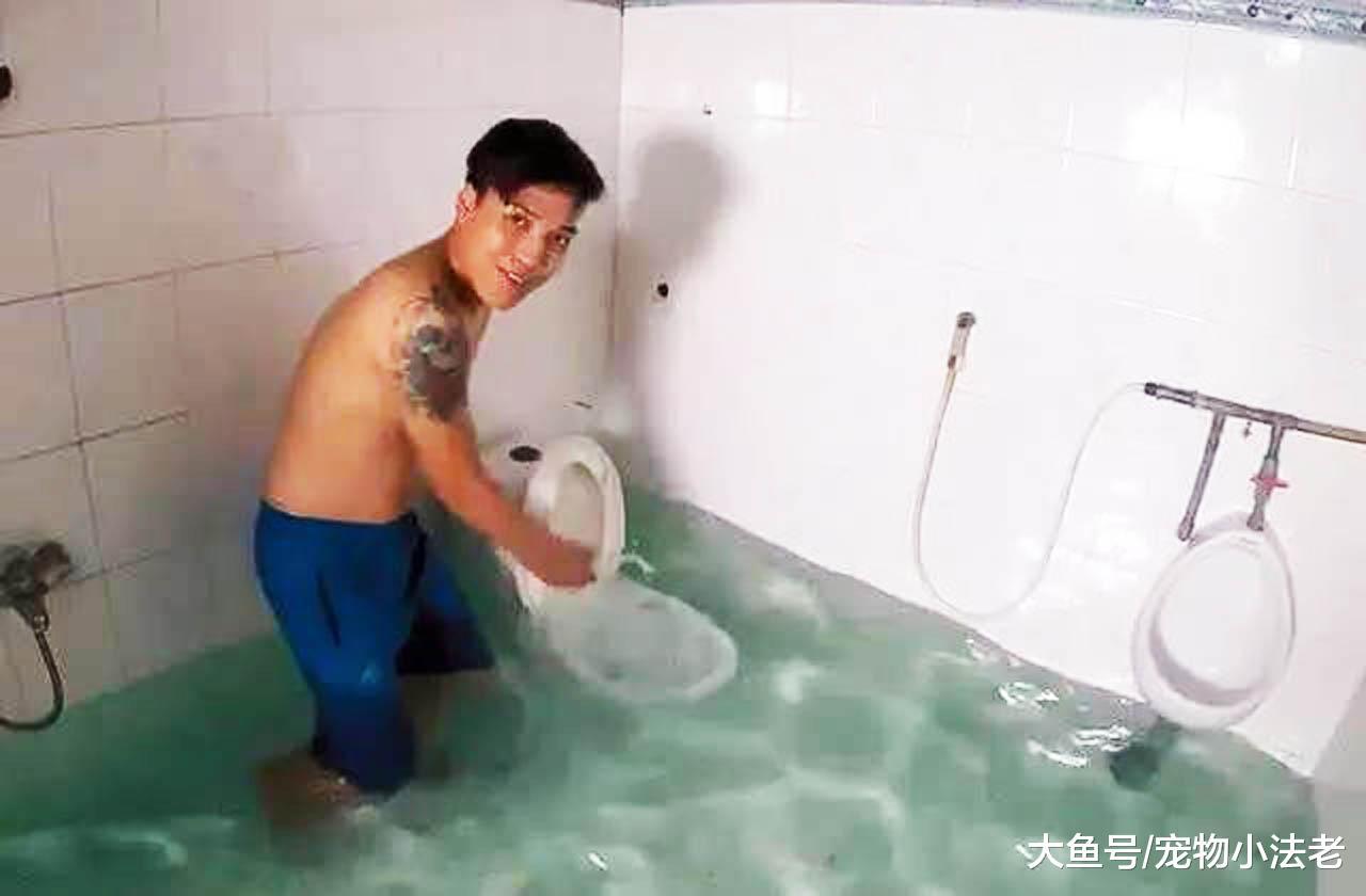 男孩將廁所變成游泳池，只為和鴨子嬉戲，網友：感覺馬桶要噴了！