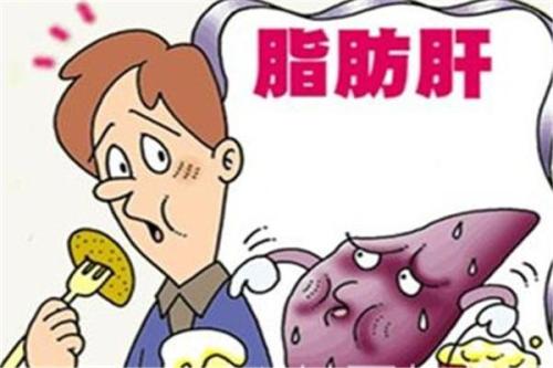 脂肪肝|如果你有脂肪肝,一般身体会有这4个表现,占了一条都不能大意