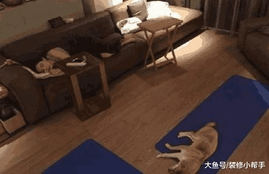 看看陈嘉桦现实的房子，平时在沙发上睡觉，整体设计很有温馨感