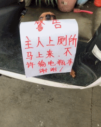 网友想去上厕所，又担心车被偷，看了一眼狗，想到了一个好办法