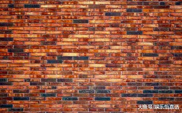 为什么国家不让用红砖盖房子呢？红砖建的房子有什么不好吗？