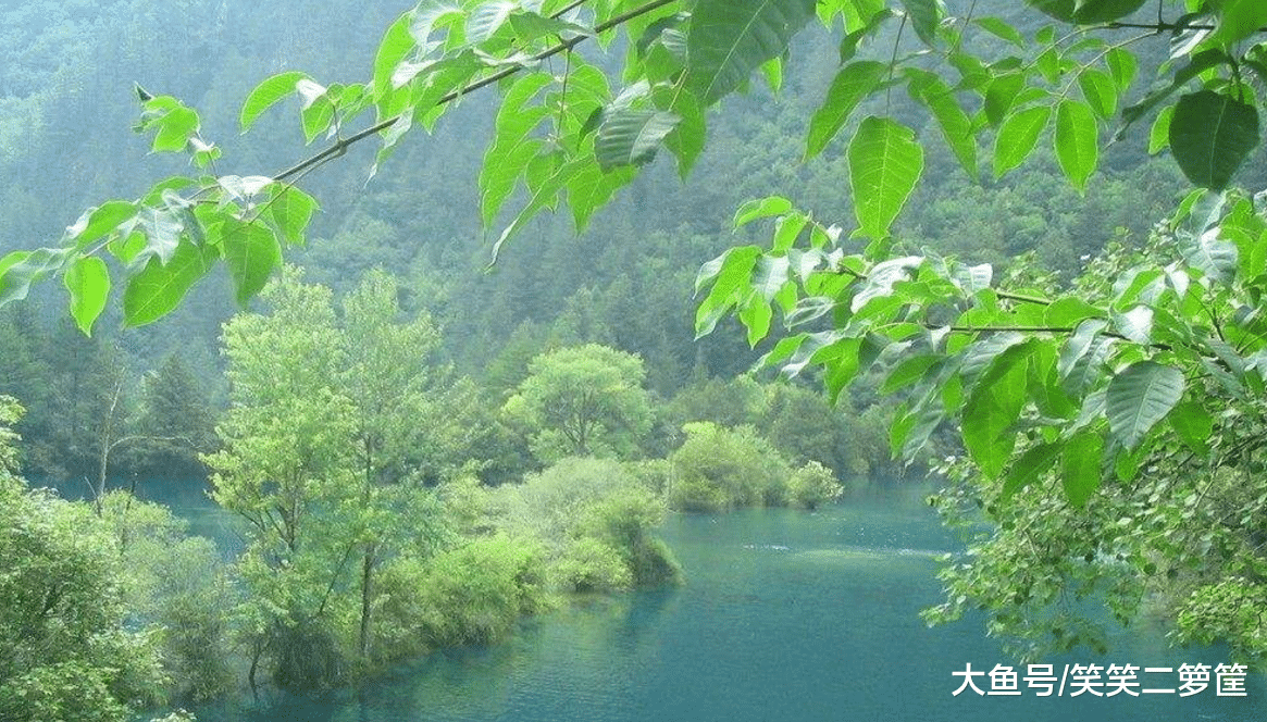 早年龍溪水流蜿蜒，滔滔不絕，水質清澈魚蝦又多