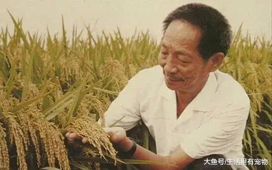 喂饱全中国的男人, 却比不上杨超越一场哭, 这个娱乐至死的时代!