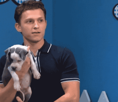 帮流浪狗找家领养代替购买，这样的明星，才应该叫偶像