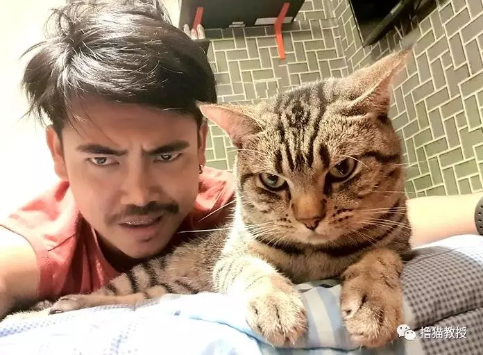 想知道晚上睡着后猫在干什么，铲屎官装上摄像头拍下了猫咪的神秘夜生活