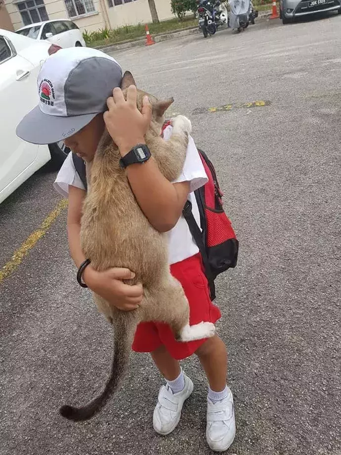 男孩准备去上学，不舍得和猫分开于是……