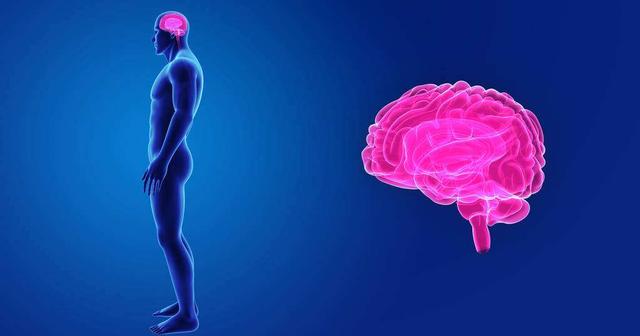 火星■可怕的真相：我们终生被囚禁在自己的颅骨之中