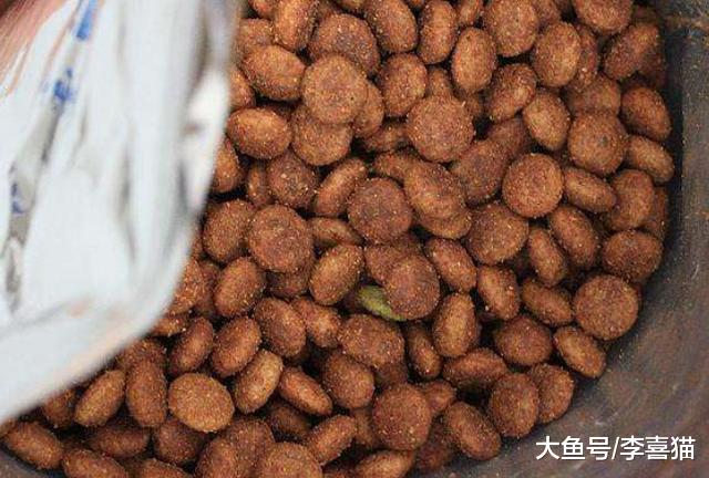 辟谣，狗粮夏季不可随意存放，储存方式错误将最终影响爱犬健康