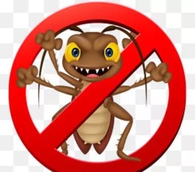 蟑螂竟然不能用脚踩？！新加坡小强多，是因为你