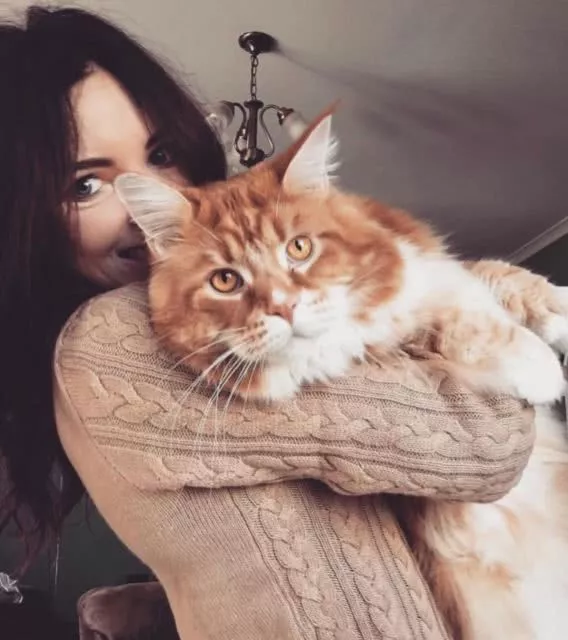 本想养个小可爱，没想到，这货居然破了吉尼斯世界纪录！