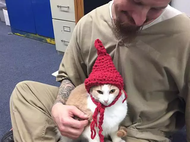 猫咪被派去感化囚徒，本以为会遭遇风险，不想众恶人都成了猫奴