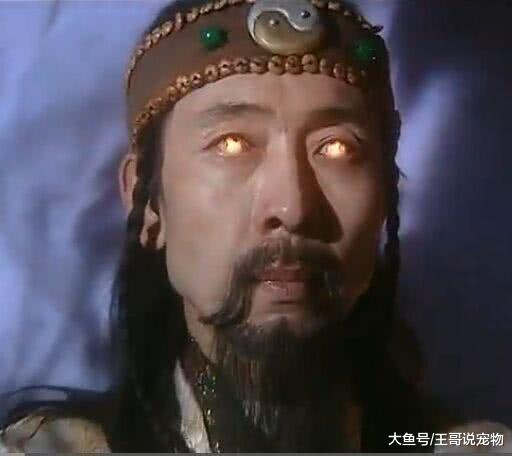 武侠剧中六大智慧型反派，贝海石垫底，雄霸排第二，第一天下无敌