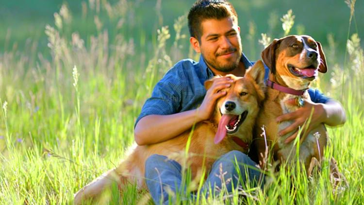 是該醒醒了，主人對狗狗的3個誤會