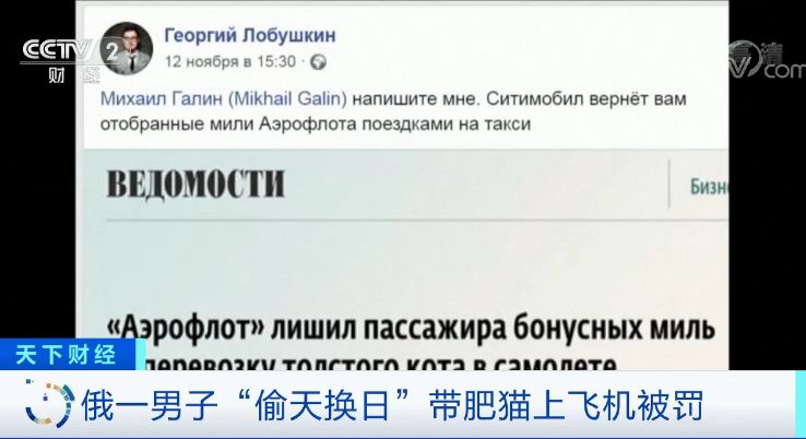 俄一男子坐飞机因猫咪太胖，偷梁换柱后在网络炫耀，最后被？！！
