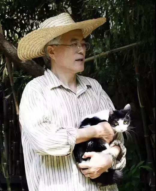 最有身份的四只猫，国家领导人都为它们铲屎