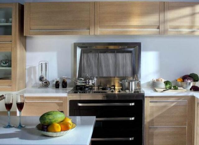 “我不要你觉得 我要我觉得 听我的 买集成灶！”