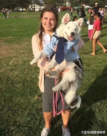 一只又聋又瞎的狗狗在黑暗中等死，为了让它重生，姑娘研发了一套手语