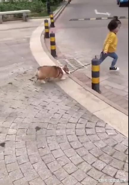 小女孩被两只狗拼命追赶，依旧头也不回，网友：狗比人操的心还多