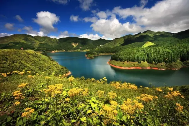 还出什么国？去了广西，等于去了全世界，不信你看