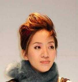 曾经被人殴打的十大明星, 陈冠希, 苏有朋在列