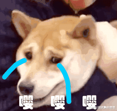 安徽男子受骗，和4位“美女”同时网恋并发6000元红包，结果4人都是小伙子