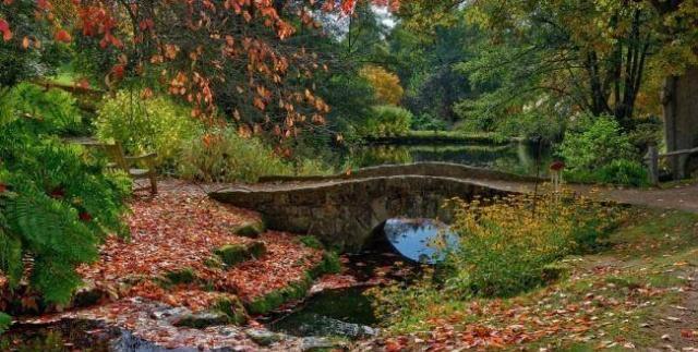 鲍信的儿子鲍勋，是怎样跟曹丕结仇，怎样被曹丕害死的