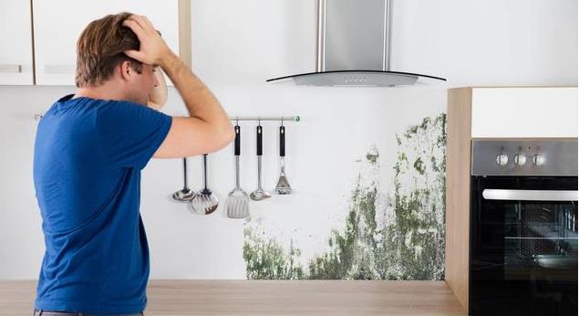 湿气重，生百病！三味中药泡水喝，清热利湿，排出湿毒一身轻