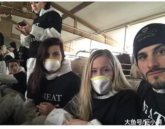 素食主义者抗议吃肉，到猪场拍照打卡，却害死了小猪崽