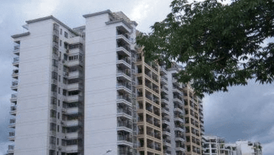 女子240万买公寓，一开窗后看愣了：这就是所谓的空中花园？