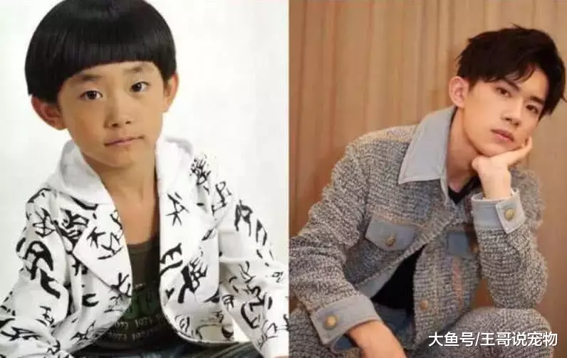 从小帅到大的男星：杨洋不愧是校草，而他却从丑小鸭，变成白天鹅