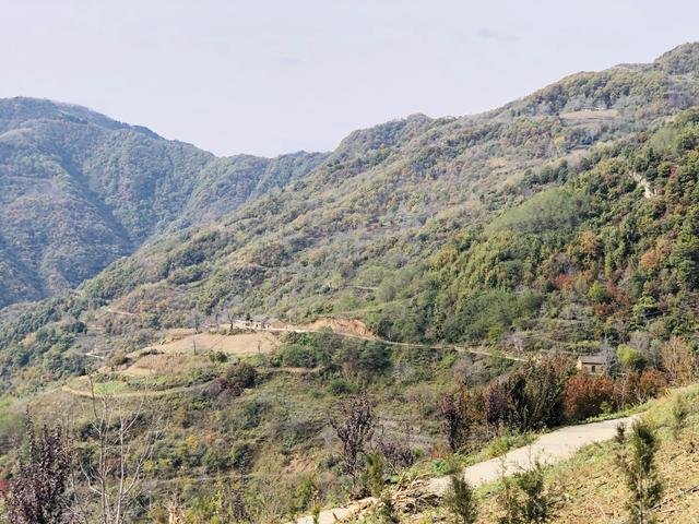 秦岭黑河峪望长沟｜房子只有在有人居住时，才是生机勃勃的家园