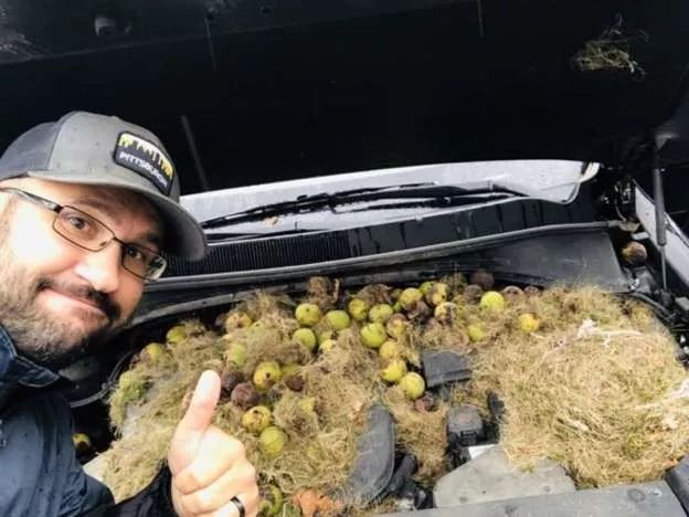 女子发动汽车时闻到有一股怪味，打开引擎盖后吓懵了……