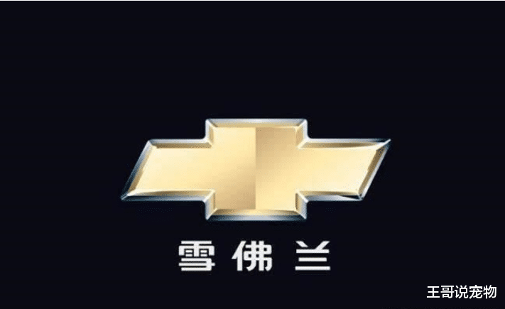 发动机质量最差的4大汽车品牌, 第一名国人加价买