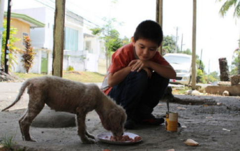肉摊老板救助流浪狗后, 流浪狗为其看门揽客, 只为报恩