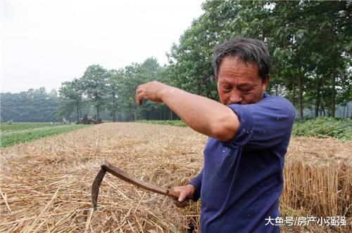 专家：背负贷款买房的农民不明智