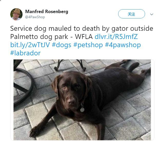 工作犬为保护主人意外离世，主人精神低落轻生，随爱犬而去