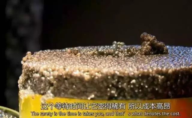 贫穷限制了想象：富豪200亿房产当摆设，贫民窟1440人共用一厕所