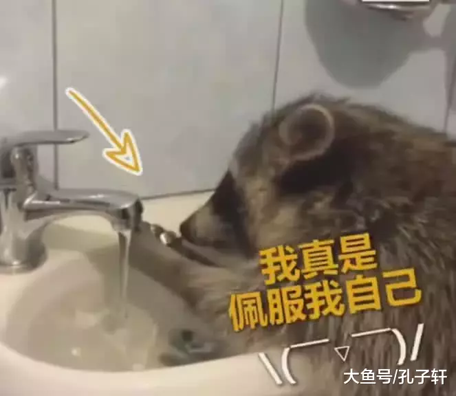 “完了！闯大祸了！” 小浣熊洗手不会关水龙头，水满了掉头就跑