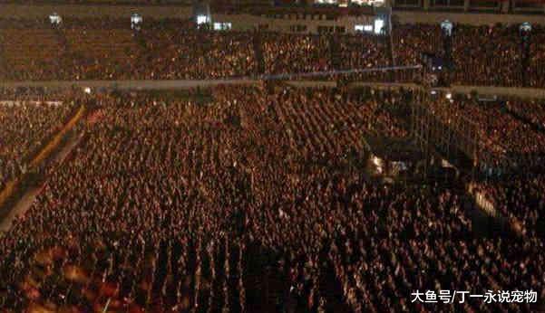 刘德华演唱会到场13万人，他的到场7人，而她没唱完就开始打扫