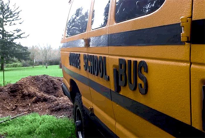 与其把狗关在家，不如送它去“上学”，“狗狗校车”在国外