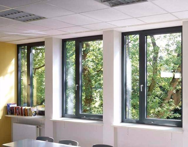 一进门就闻到“狗尿味”？教你5招，除味去臭，简单实用！