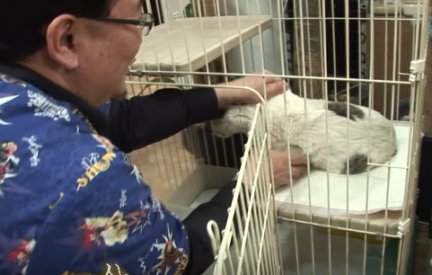 一只猫独自在山上生活了三个月，有人想带它走，它却拒绝离开！