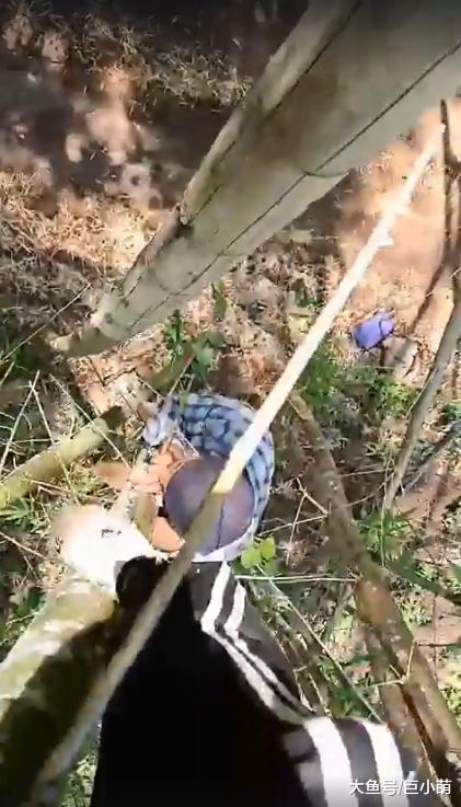 骑车遇拦路虎，夫妻弃车爬上竹子，暴晒30分钟后捡回一命